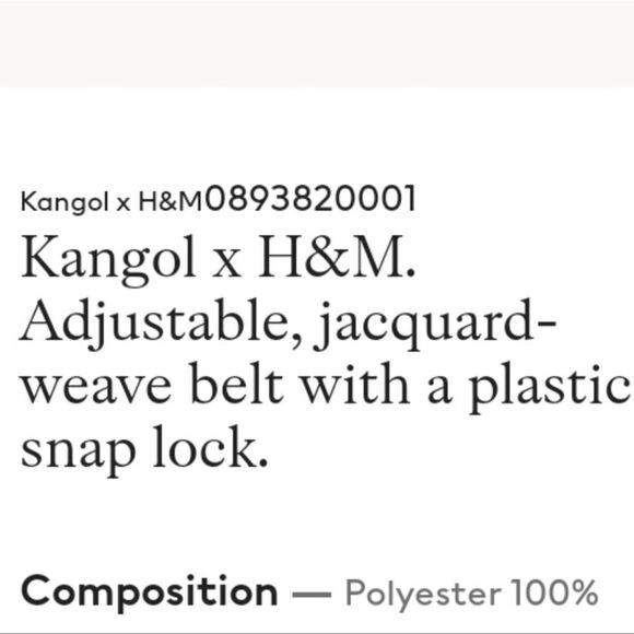 Kangol x H&M Limited Edition Snap Lock Belt NWT - Picture 2 of 5